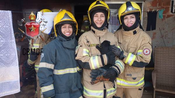 Cão resgatado pelo Corpo de Bombeiros