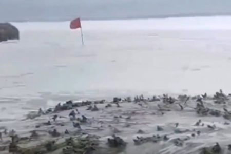 Efeitos do ciclone-bomba: ondas do mar invadem bairro do Arraial do Cabo (RJ) - Metrópoles