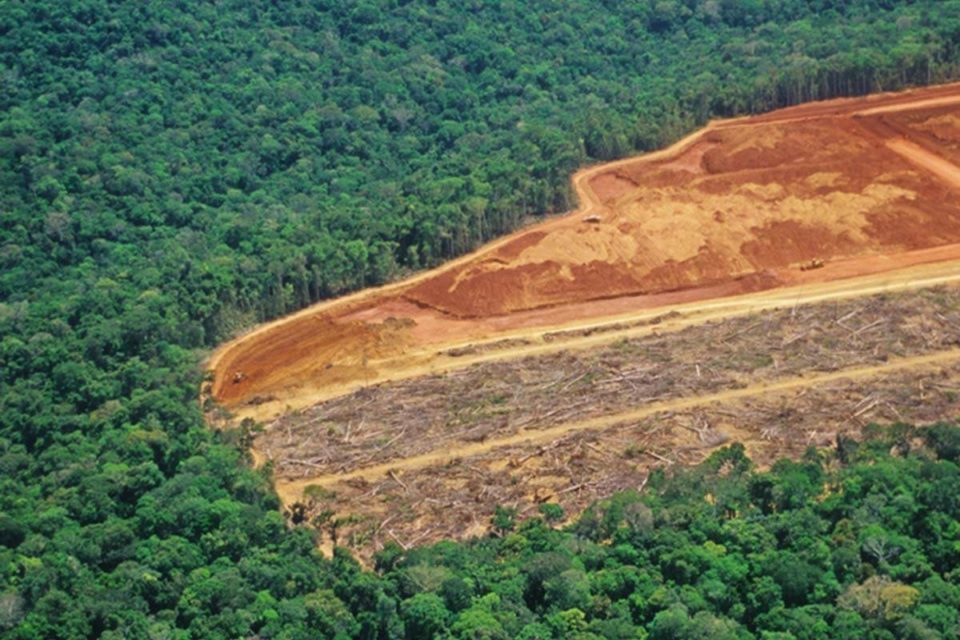 desmatamento amazonia madeira ilegal pacote verde - metrópoles