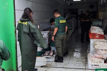 Agentes do Ibama apreendem 5 toneladas de pescado no RS - Metrópoles