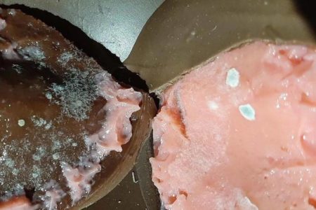 Na foto, um ovo de páscoa recheado e estragado - Metrópoles