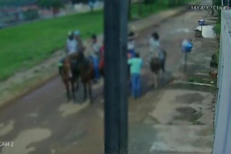 goias jovem estuprada apos passeio a cavalo