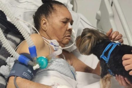 Imagem mostra idosa deixa CTI depois de receber visita de cachorro em hospital de BH - Metrópoles