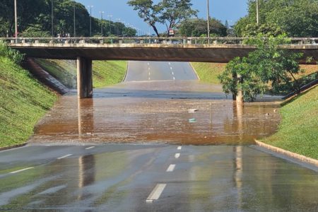 Temporal alaga tesourinhas