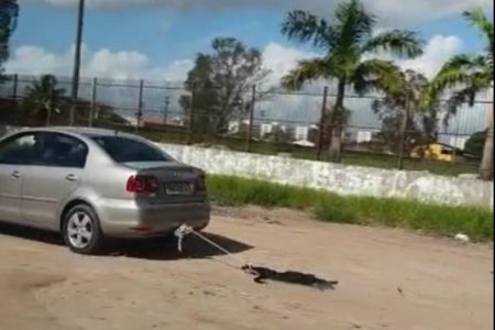 cachorro-arrastado-por-carro-maceio-metropoles