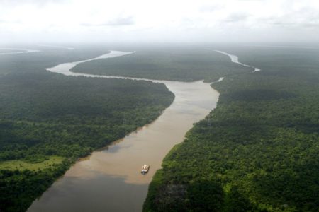 Foto colorida da floresta Amazônia - Metrópoles