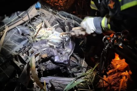 goias cavalo invade pista e provoca acidente