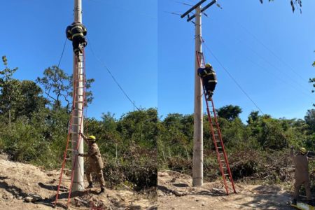 Na imagem: Foto colorida de equipe do Corpo de Bomberos do Goiás durante resgate de vítima de choque elétrico - Metrópoles