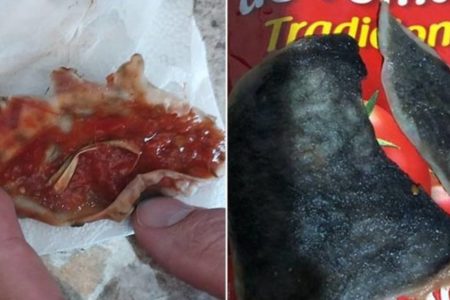 Perícia aponta fungos e ovos de parasitas em molho de tomate da Fugini - Metrópoles