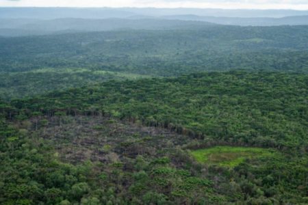 Foto colorida mostra área de desmatamento na Mata Atlântica - Metrópoles