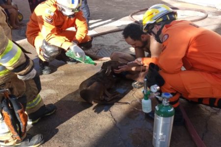 Combate a incêndio em Sobradinho 2