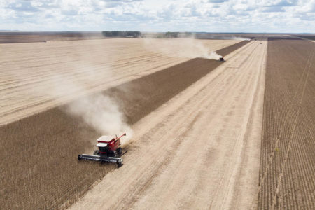 Agronegocio - Agro - Rural - fazenda - metropoles