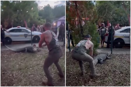 Foto colorida do momento em que lutador de MMA ajuda a conter jacaré - Metrópoles