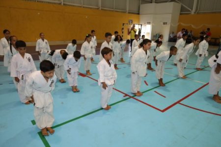 goias materias para artes marciais