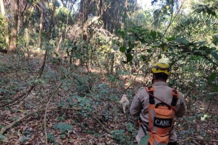 goias idoso desaparecido