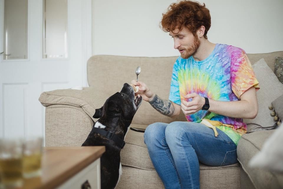 Cachorro comendo fruta