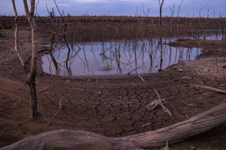 Foto colorida de seca, el niño - Metrópoles