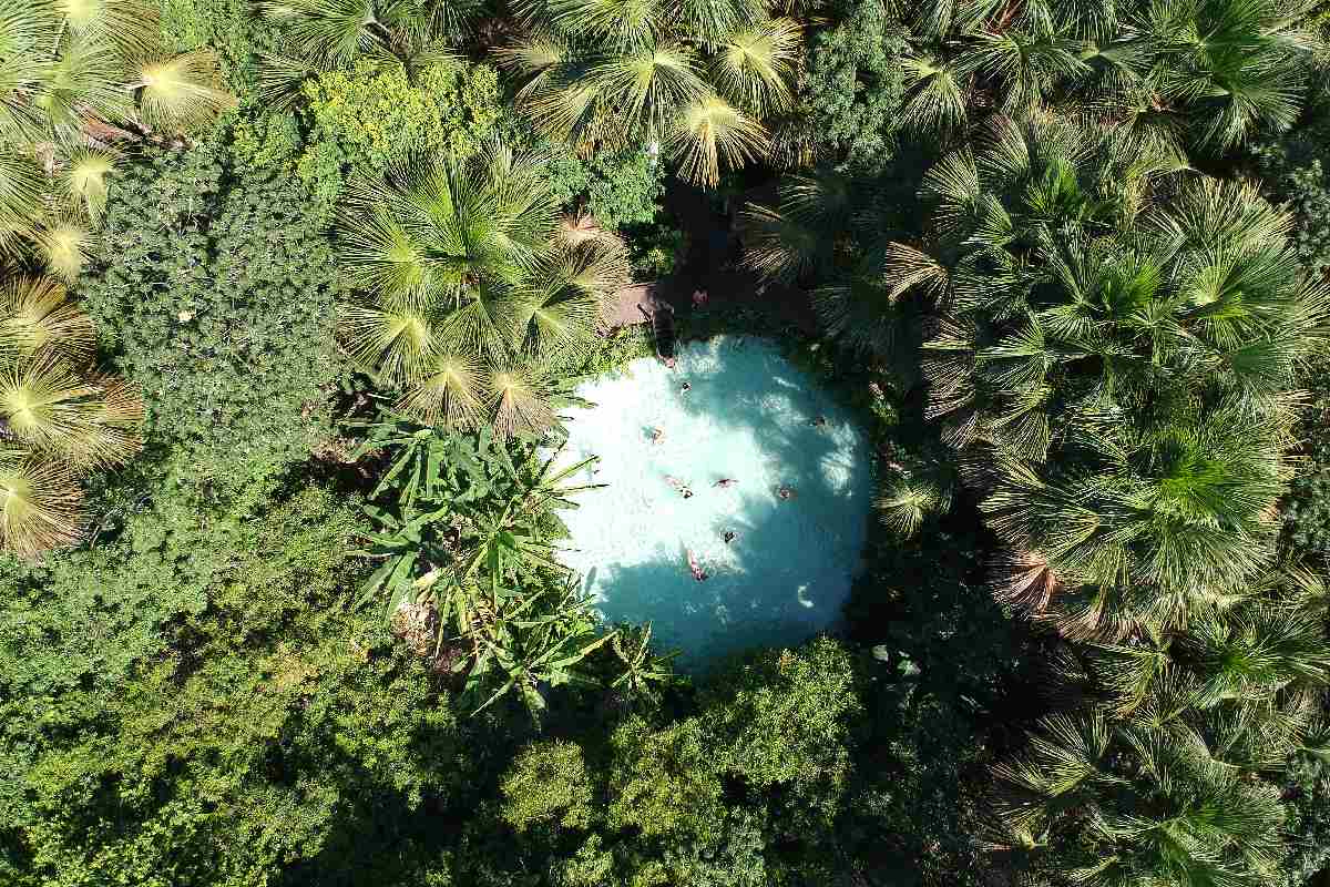 foto aerea colorida mostrando uma área de mata verde com uma piscina natural no centro - Metrópoles