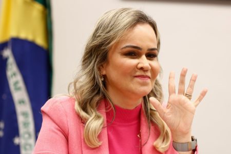 Imagem mostra a ex-ministra do Turismo Daniela do Waginho na Comissão temática na Câmara
