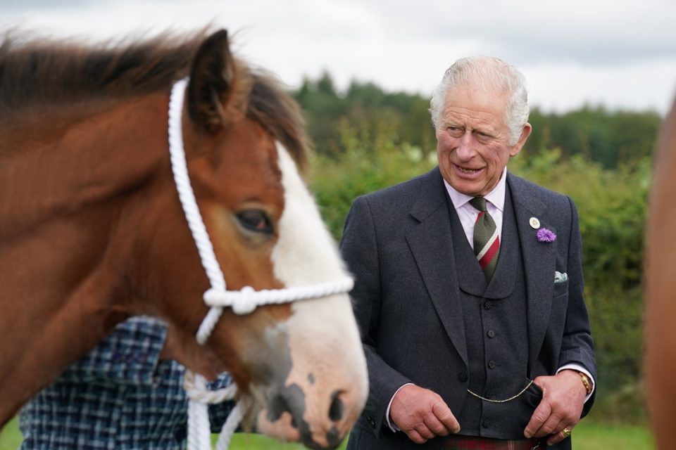 Foto colorida de homem branco e idoso olhando para cavalo de pelo marrom e focinho branco - Metrópoles