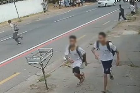 Foto colorida do momento em que alunos são atacados por abelhas em Goiânia - Metrópoles