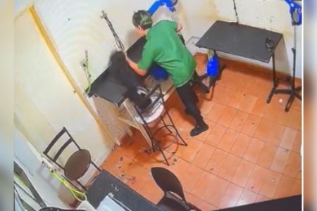 Imagem colorida mostra funcionária de pet shop agredindo cadela em Goiânia - Metrópoles