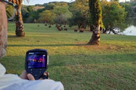 Imagem colorida de câmera térmica sendo usada em censo de capivaras em Campinas