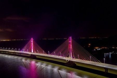 Imagem da Ponte Anita Garibaldi iluminada em rosa para chá revelação de casal - Metrópoles