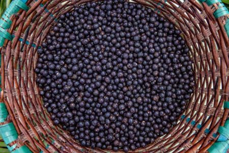 Café de açaí é mais saudável? Entenda os benefícios Infusão preparada com os grãos de açaí em vez do café tradicional tem sabor e propriedades elogiadas na web, mas é preciso entendê-las melhor