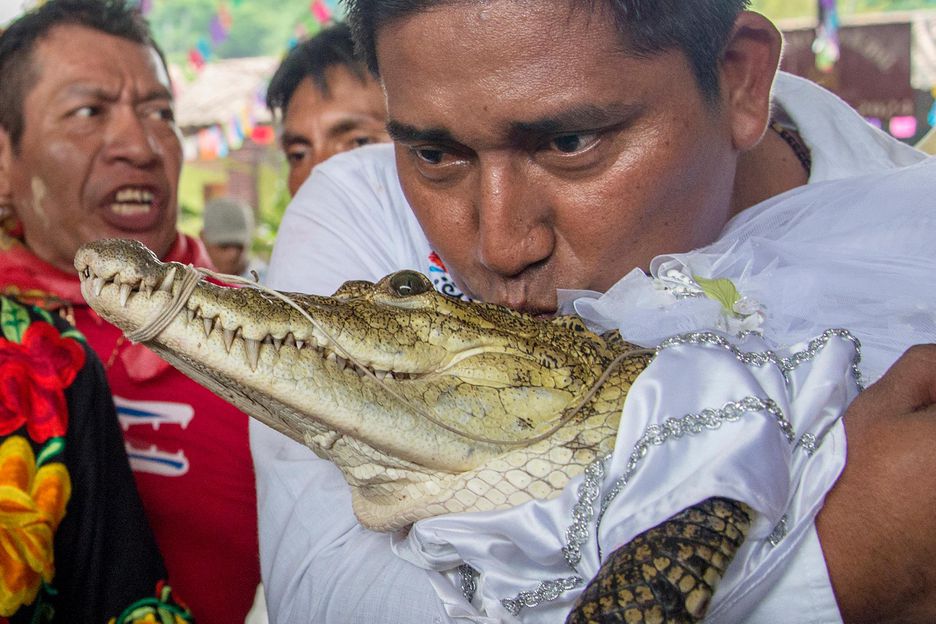 Na foto, um homem segurando um jacaré - Metrópoles