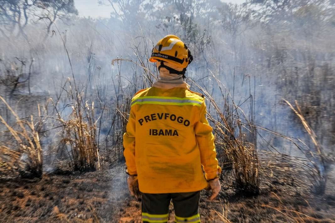 Queimadas medidas GDF - Metrópoles