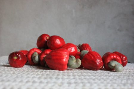 Imagem colorida de cajuzinho do cerrado, planta vermelha pequena, em cima de uma mesa - Metrópoles