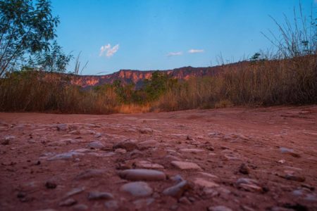 Foto colorida de desmatamento no Cerrado - Metrópoles