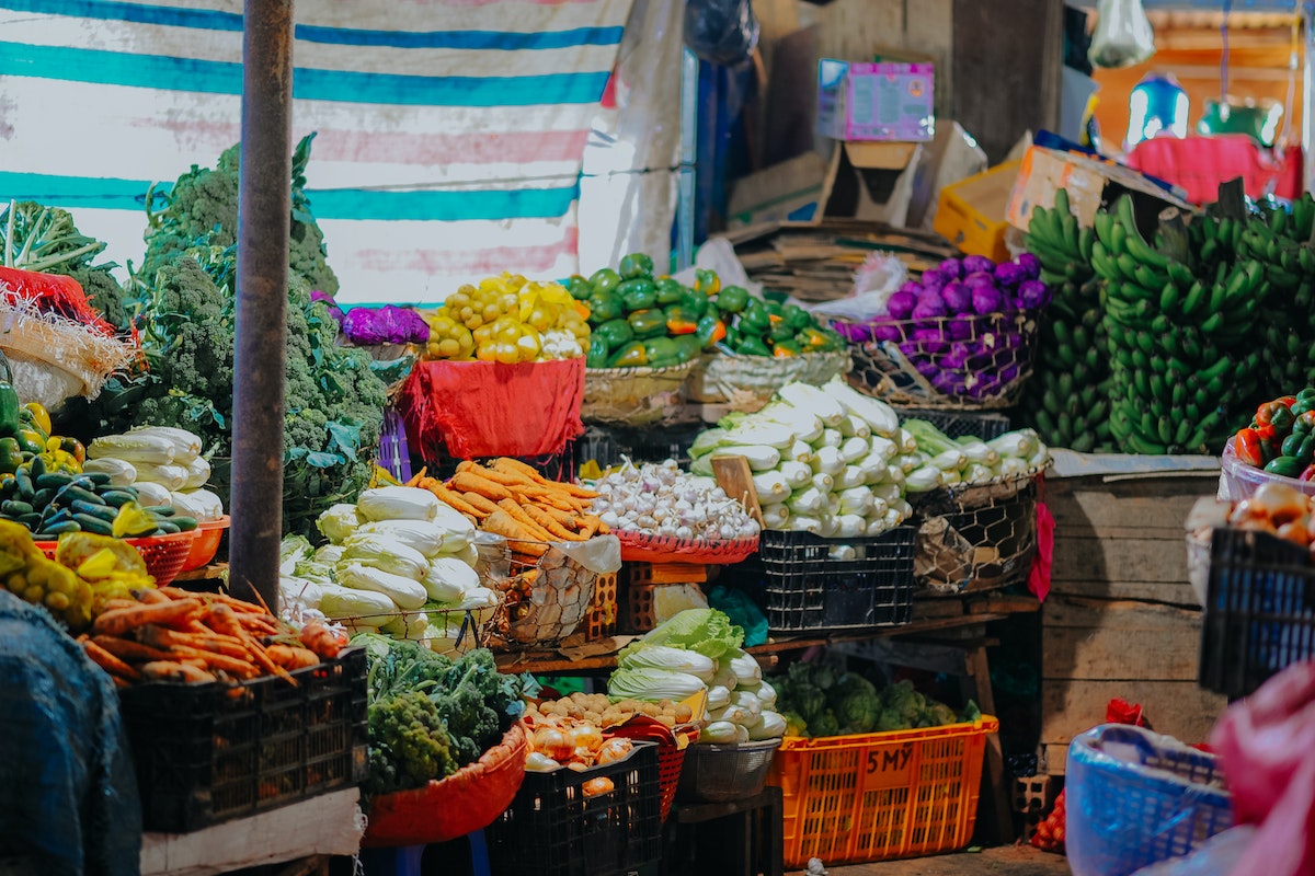 Feira com diversidade de vegetais - Metrópoles