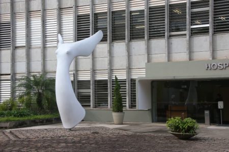 Imagem colorida mostra monumento em frente à fachada do Hospital Universitário da USP, o HU, na zona oeste de São Paulo - Metrópoles