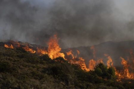 Foto colorida de incêndio florestal na Grécia - Metrópoles