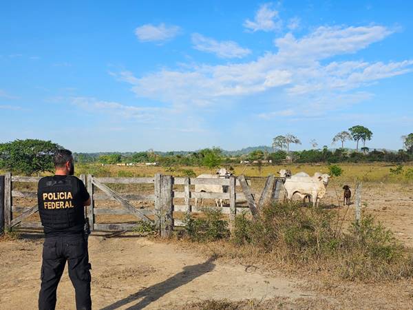 operação da PF contra devastação na floresta amazônica