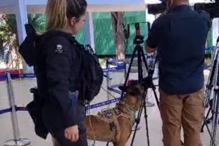 Imagem colorida de Jehtro, cão farejador, da Polícia do senado, e seus treinadores