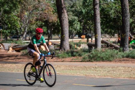 Ciclista pedala em ciclovia no Parque da Cidade. Pinheiros caídos ao fundo