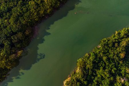 Foto colorida da Amazônia - Metrópoles