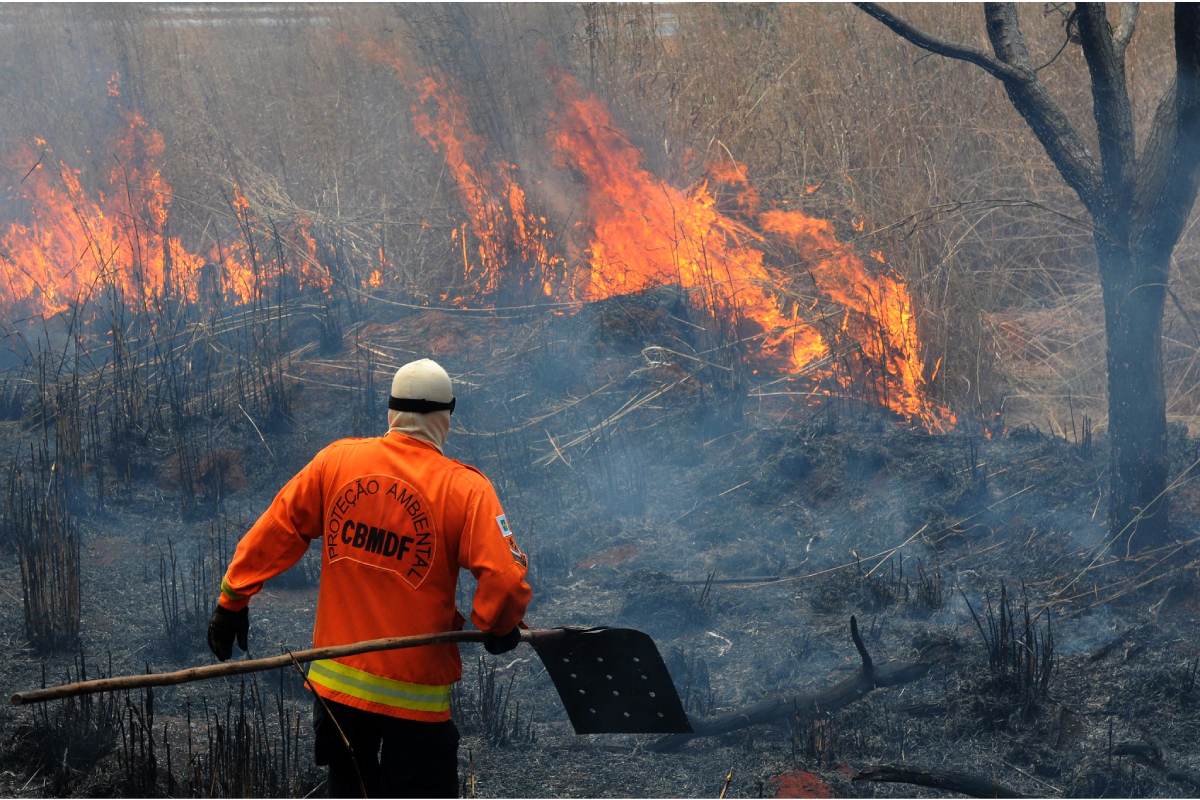 Foto colorida de um bombeiro com um abafador controlando um incêndio em uma vegetação - Metrópoles