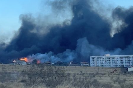 Imagem colorida de incêndios florestais que ocorreram em Maui, Havaí - Metrópoles