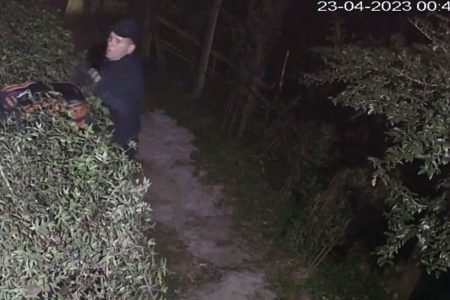 Imagem colorida mostra reprodução de vídeo com um homem vestido de blusa preta e boné preto no meio de um arbusto com uma mochila e uma escada atrás, tentando entrar em uma área residencial - Metrópoles