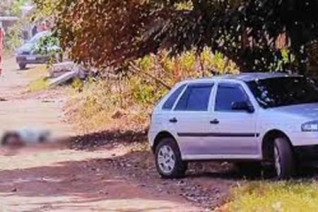 Fotografia colorida de cena onde homem foi encontrado morto após ser picado por um enxame de abelhas