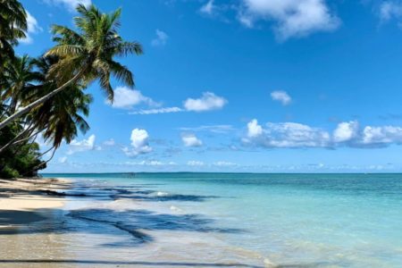 Mar azul com coqueiros, praia deserta - Metrópoles