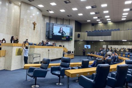 Imagem colorida mostra plenário de carpete azul e móveis de madeira clara da Câmara Municipal de SP - Metropoles