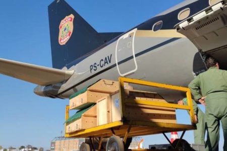 Imagem colorida de avião da PF para buscar araras de micos-leões no Suriname