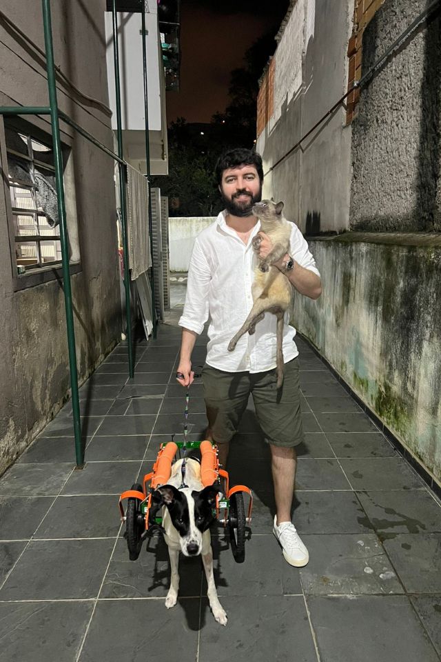 Foto colorida de homem com um gato e um cachorro - Metrópoles