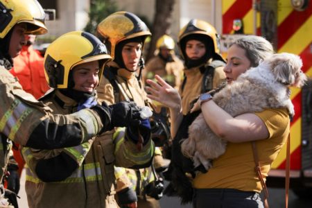 Imagem colorida mostra cão resgatado