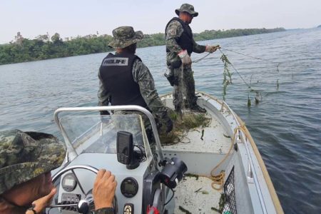 foto colorida de dois policiais ambientais em uma lancha devolvendo peixes ao Rio Paraná - Metrópoles